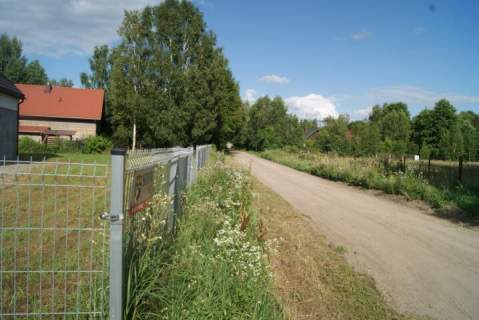 PILCHY JEZIORO ROŚ GOTOWY DO ZAMIESZKANIA