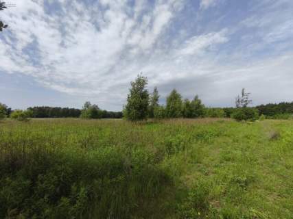 DZIAŁKA BUDOWLANA 1059 m2 NIEBOROWICE BLISKO GLIWIC CICHA I 