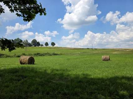 UROKLIWA DZIALKA 1,10 HA W JODŁOWEJ - OTOCZONA NATURĄ, Z P