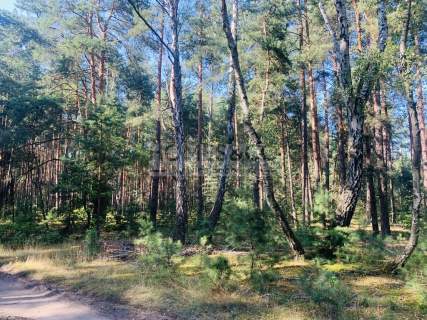 Działka pod rekreację 2552 m2 Wilga Ośrodek