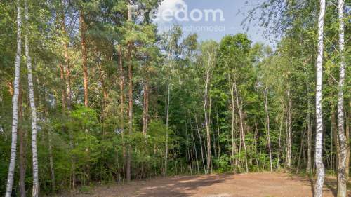 Twój rodzinny azyl pod lasem Pogórska Wola