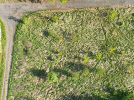 Klimatyczna działka budowlana Stara Kopernia