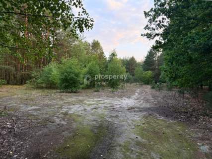 Działka budowlana 3400m2 WZ Budy Michałowskie