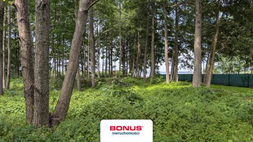 Działka budowlano-usługowa z linią brzegową