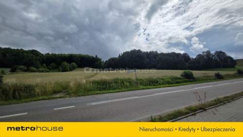 2,16 ha między jeziorami CHMIELNO I Kaszuby