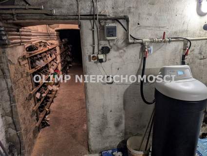 Dom z lokalem użytkowym