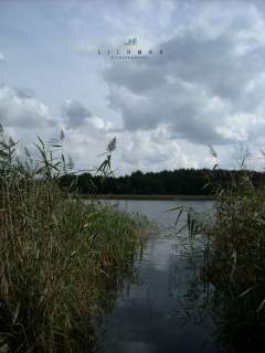 Działka leśna na sprzedaż Trojaczek