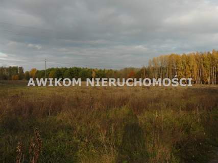 Działka budowlana na sprzedaż, 1118 m2, Puszcza Mariańska