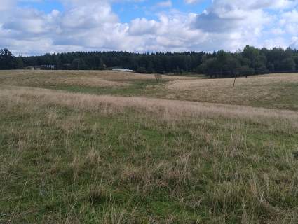 Mazury Puszcza Borecka Działka Rolna 12,4469 ha