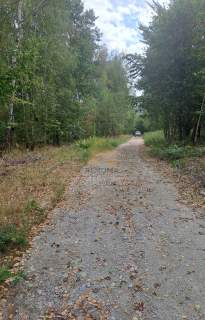 Działka budowlana/usługowa w zaciszu lasu 3350m2