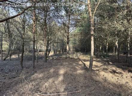 Jabłonna, Trzciany, 1610 m2, MPZP mieszkaniowa