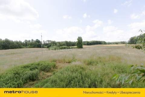 CIEMINO-jezioro-siedlisko dom i działki 8,2217 ha