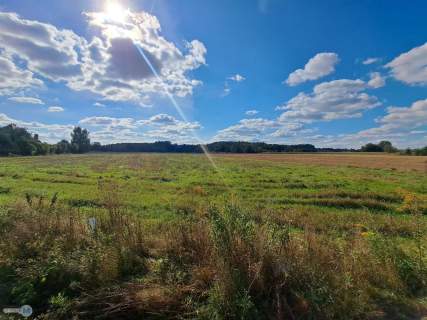 Widokowa nieruchomość z Warunkami w dobrej cenie.