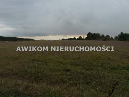 Działka rolna na sprzedaż, 47885 m2, Stary Łajszczew