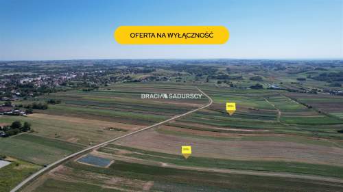 Działki rolne Proszowice