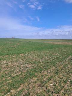 Działki budowlane o 960m2 do 1001m2, Kalisz