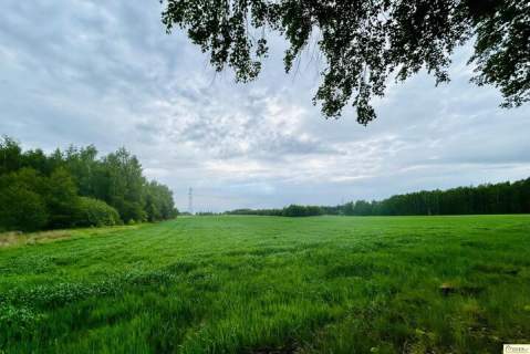 6 działek wydane WZ w Chlewiskach, gm. Kotuń