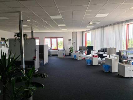 Nieruchomość komercyjna do wynajęcia, 170 m2, Tarnowo Podgórne