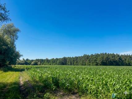 Śródborze   12,85 ha z WZ przy S7