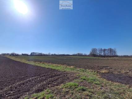 Dom Winiary Dolne gm. Nowy Korczyn , działka 3.300m2 , sprzedam...