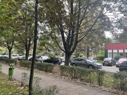 Szczepin/Czarnieckiego/3 pokoje/rozkład/piwnica
