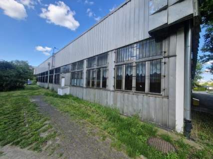 Lokale 407 m2 i 400 m2 do wynajęcia- KONIN
