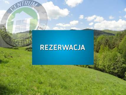 Działka rolna na sprzedaż, 6800 m2, Ochotnica Dolna