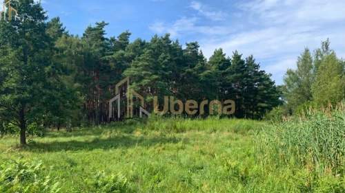 Działka nad morzem
