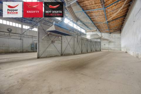 Hala 1800 m2 w Pakości - Produkcja Magazyn Biura