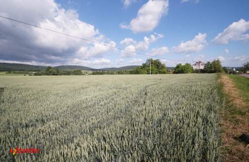 Działka inwestycyjna przy drodze Przemyśl - Arłamów, 19ar, Fre