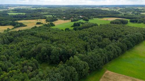 Działka siedliskowa na sprzedaż, 60200 m2, Nowe Mieczysławy