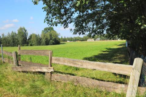 Działka nad jeziorem Rajgrodzkim Stacze 3001m2