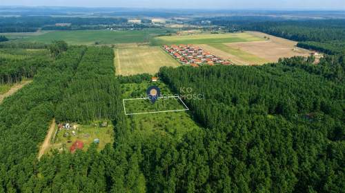 Działka budowlana w środku lasu / Założony prąd