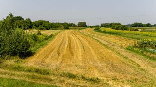 Działka budowlana Tarnów, ul. Cedrowa