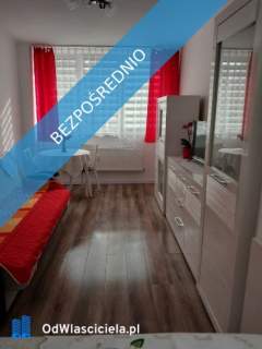 Komfortowe mieszkanie do wynajęcia w Karpaczu, 38 m2. Widok na...