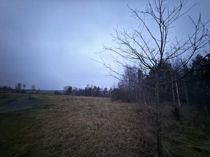 Okazja Duża działka rolna w Borkowie 9802m2