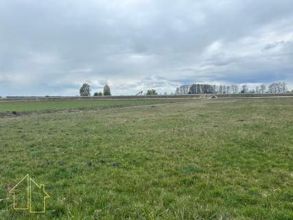 Działka budowlana ok. 1000 m2 Dobrzyniewo Kościelne