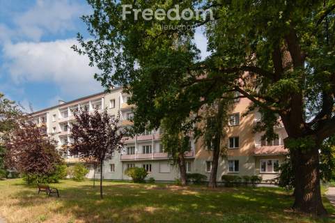 Dwa pokoje z poczuciem przestrzeni