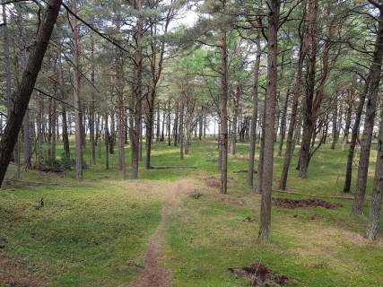 Działka budowlana 4990 m2 Dymnica, Ulinia nad morzem