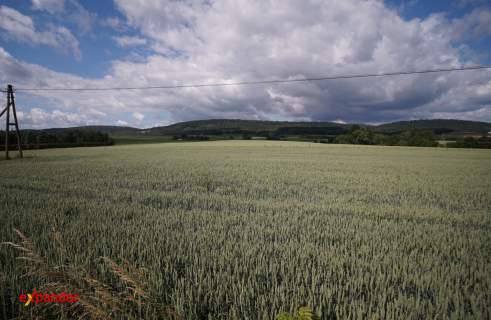 Działka inwestycyjna przy drodze Przemyśl - Arłamów, 19ar, Fre