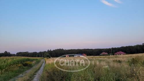 Jastrzębce/Działki Budowlane