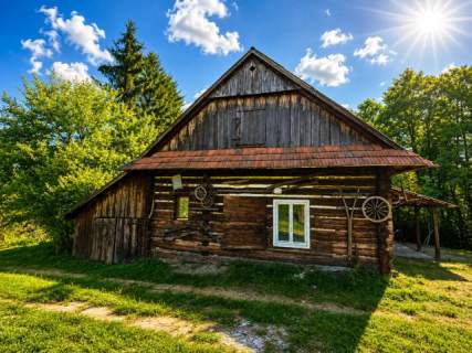 Siedlisko w Orzechówce