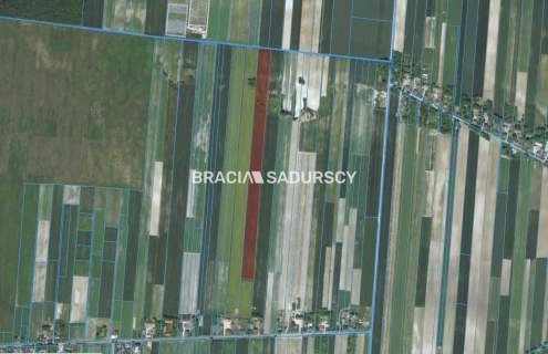 Działka rolna na sprzedaż, 30500 m2, Prandocin-Iły
