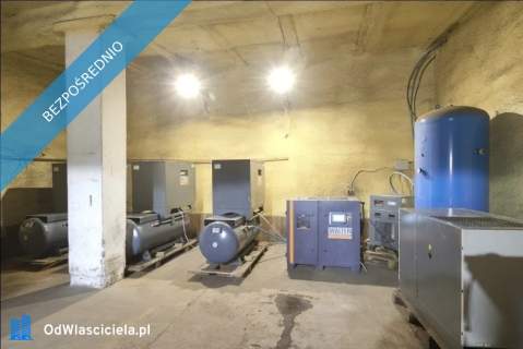 Obieralnia cebuli skup warzyw i owoców 6 100 m2 centralna 