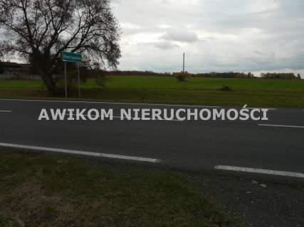 Działka rolna na sprzedaż, 58340 m2, Lisowola