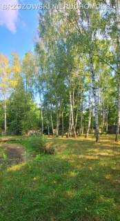 Nadarzyn, 5000 m2, MPZP,mieszkaniowa jednorodzinna