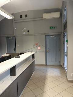 LOKAL DO WYNAJĘCIA W CENTRUM MIASTA