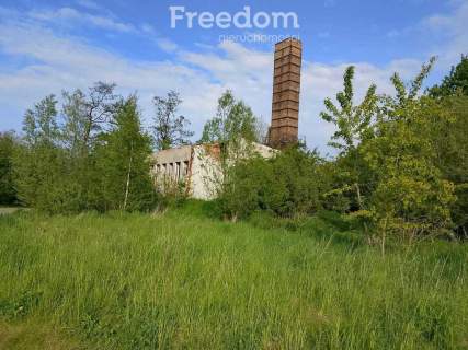 Działka blisko Mierzei Wiślanej.
