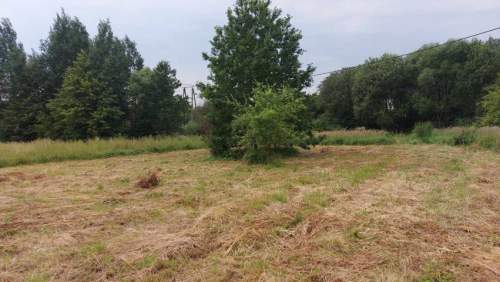 Działka budowlana na sprzedaż, 709 m2, Trzebyczka