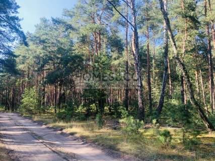 Działka pod rekreację 2552 m2 Wilga Ośrodek